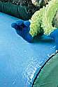 Blue Bear 7